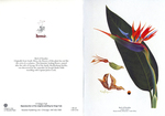 Bird of Paradise by Kingo "Melvin" Fujii